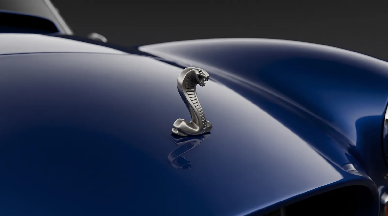 Detail van een Shelby
